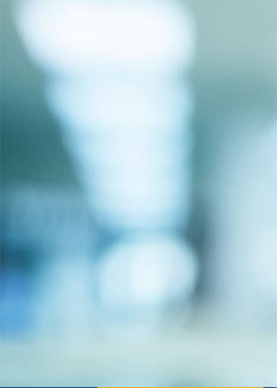 Photo of Paralegals